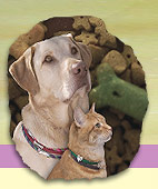 Dogs 'n Cats Silver and Gold Jewelry