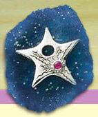 AstroZodiac Silver and Gold Jewelry