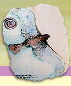 Hawks Silver and Gold Jewelry
